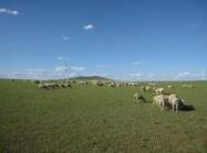 內蒙新型墻體設備